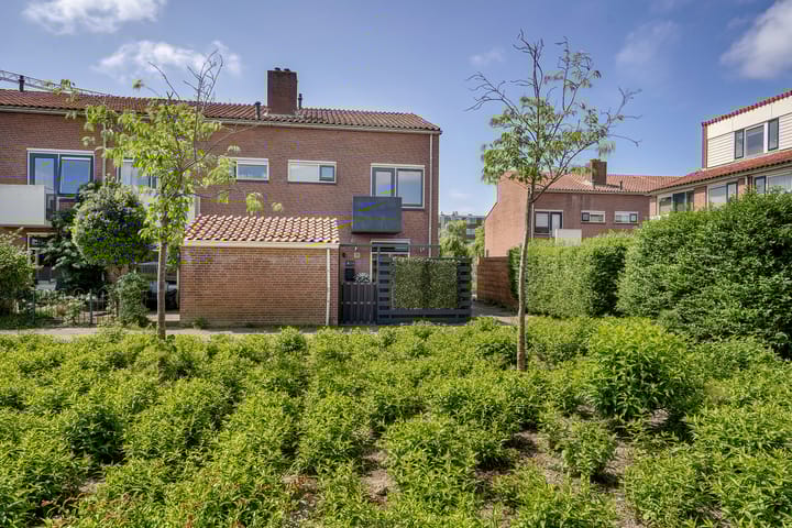 Foto 37 van Springvloed 9