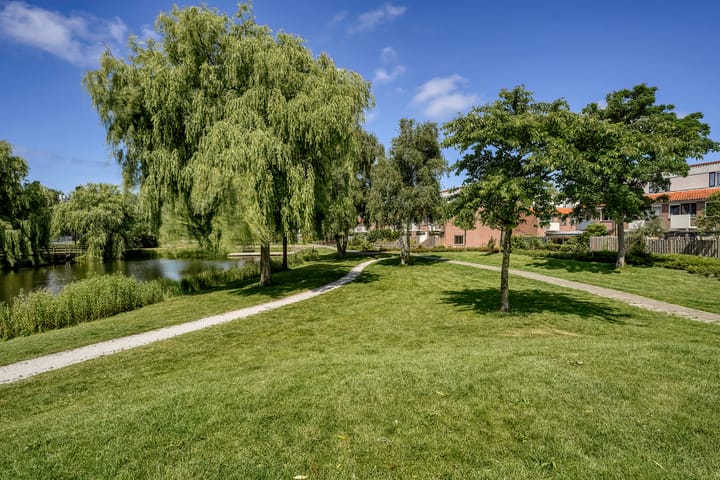 Foto 39 van Springvloed 9