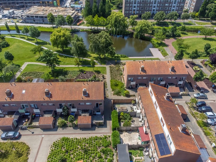 Foto 42 van Springvloed 9