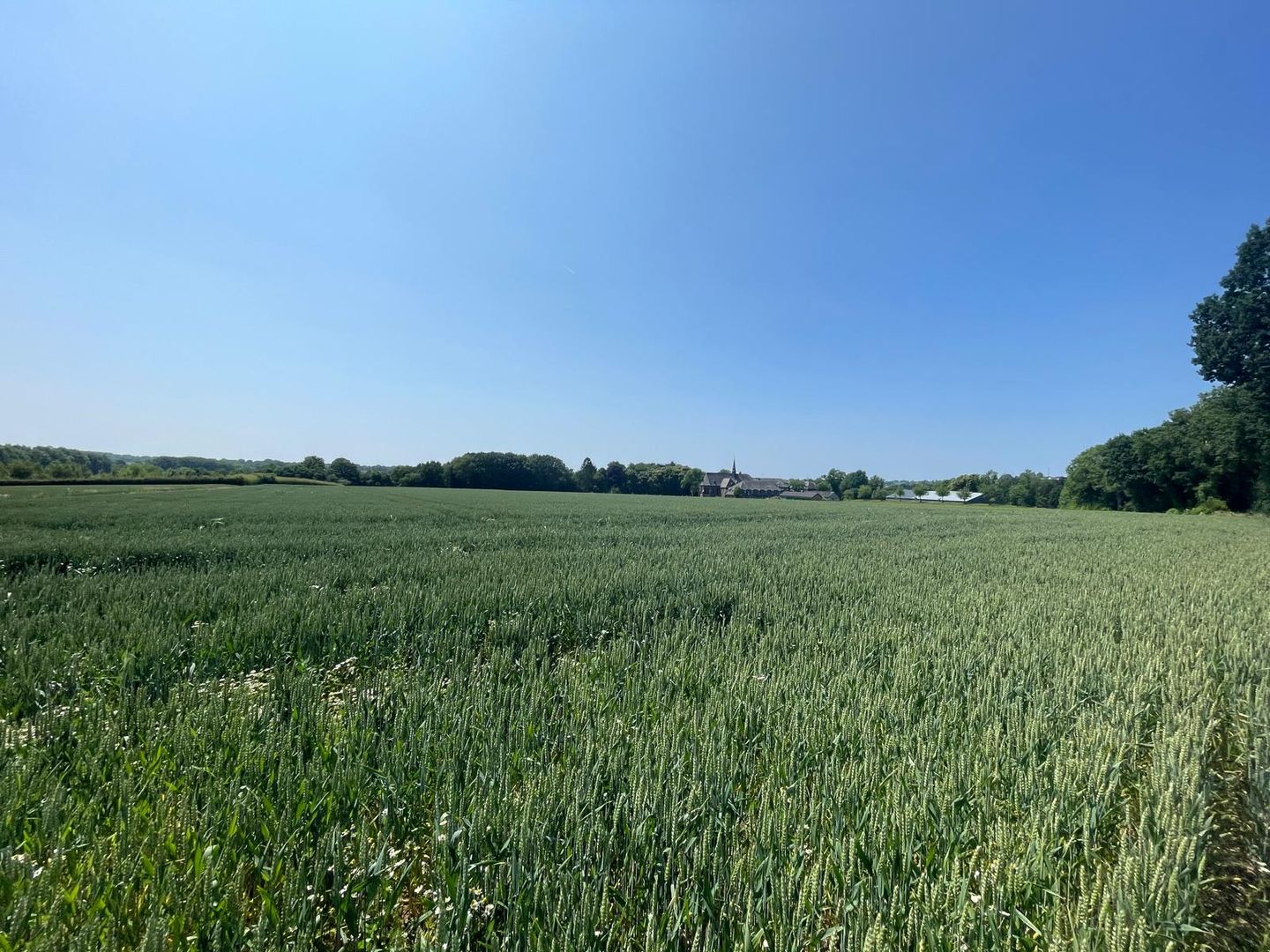 Bekijk foto 3 van Rodeputserveldweg