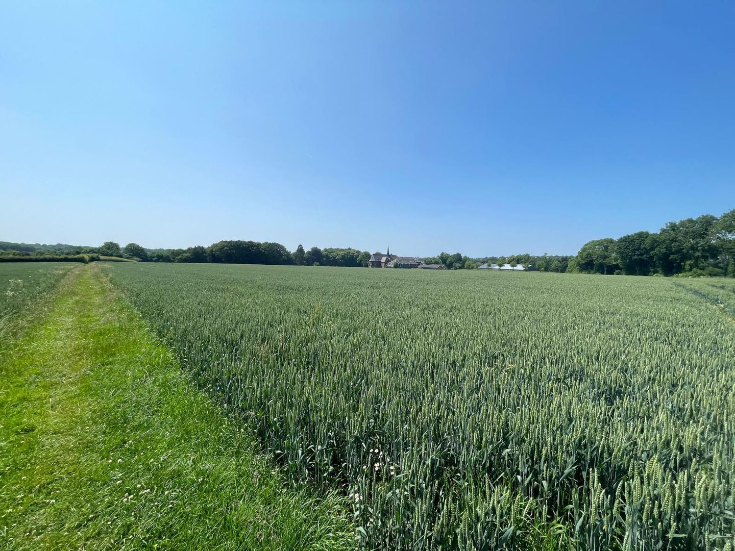 Bekijk foto 4 van Rodeputserveldweg
