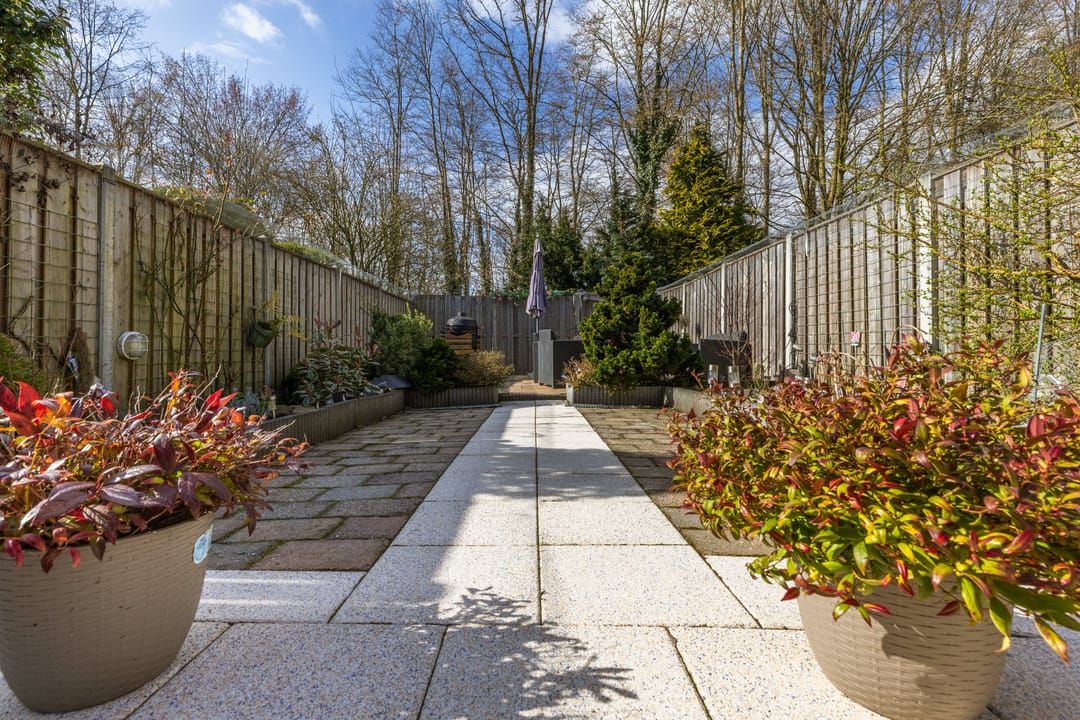 Foto 31 van Grasmeent 101