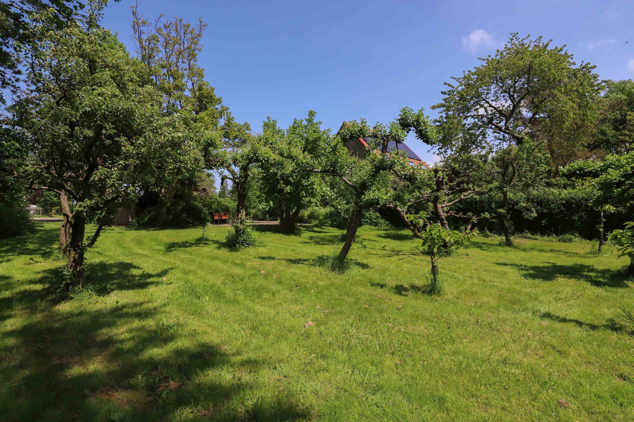 Foto 30 van Zuiddijk 14