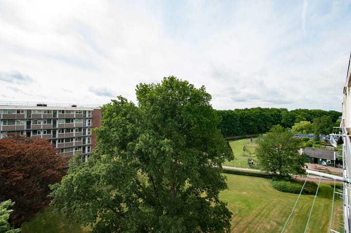 Foto 21 van Maria in Campislaan 157