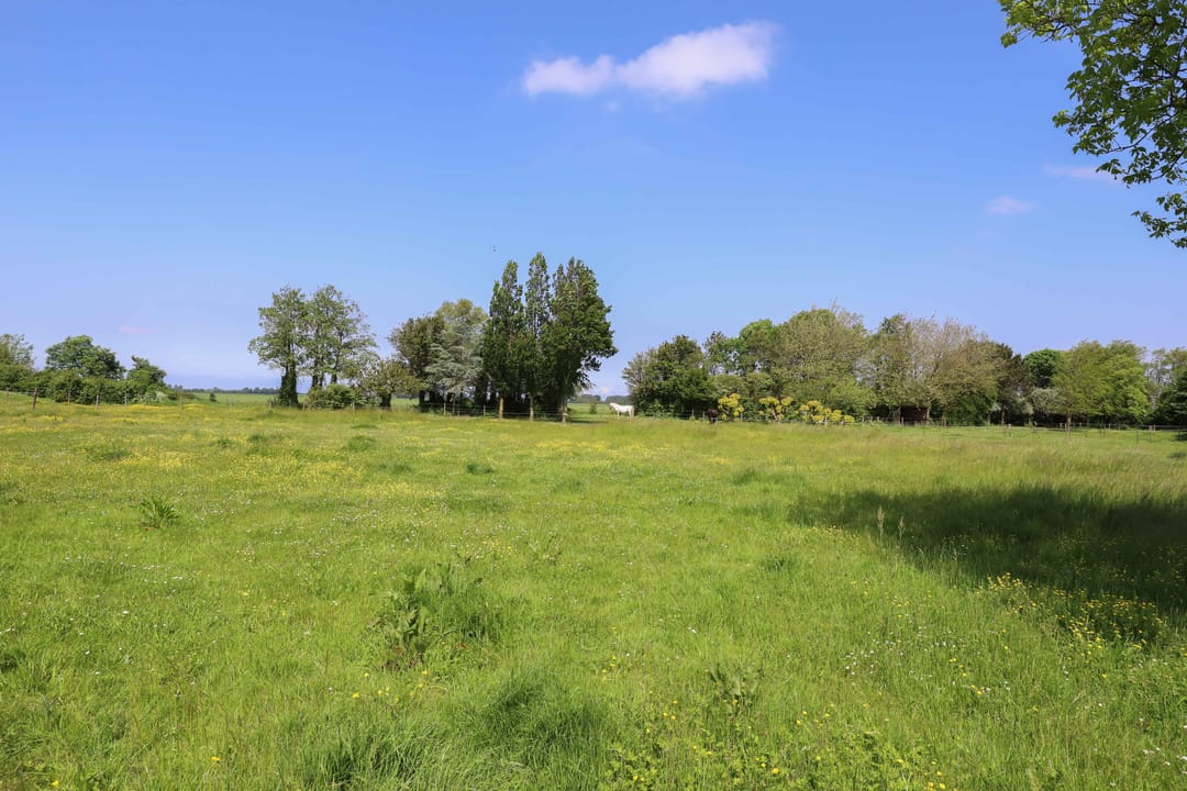 Foto 43 van Zuiddijk 14