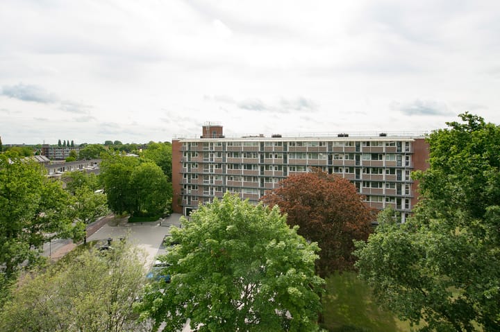 Foto 33 van Maria in Campislaan 157