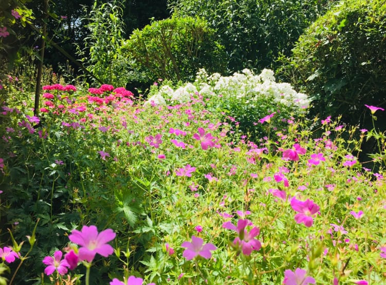 Foto 46 van Zuiddijk 14