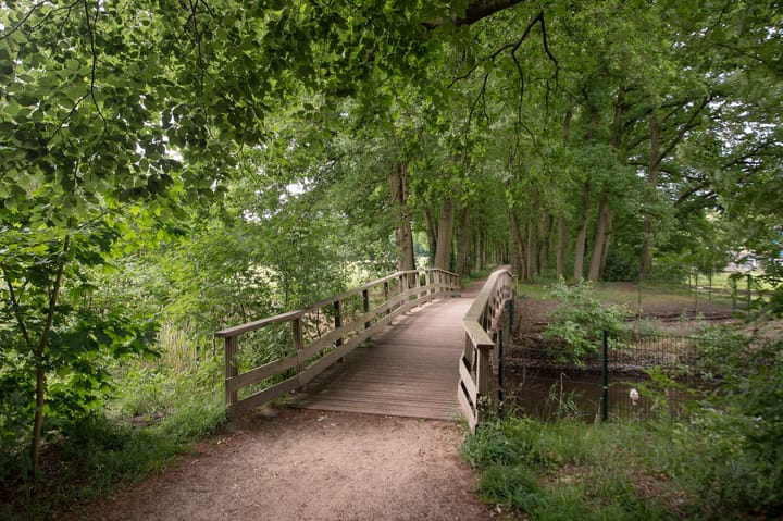 Foto 37 van Maria in Campislaan 157