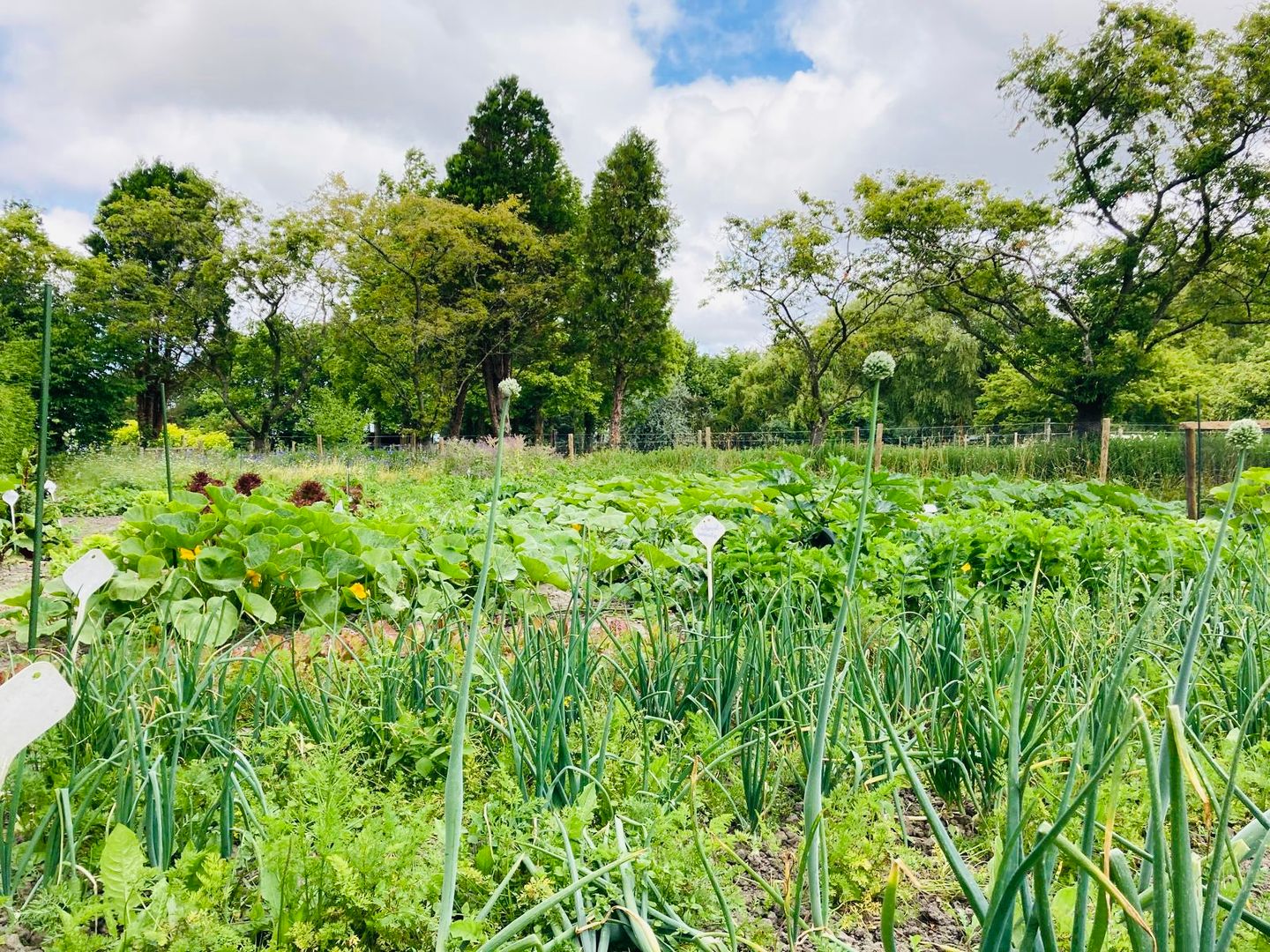 Foto 49 van Zuiddijk 14