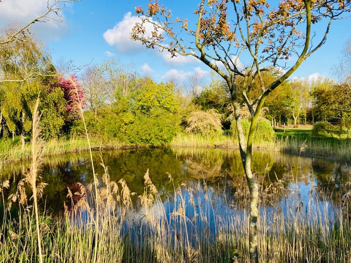 Foto 52 van Zuiddijk 14