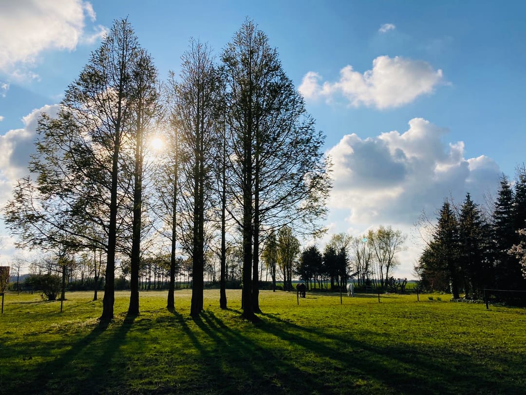 Foto 52 van Zuiddijk 14