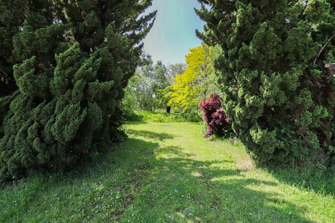 Foto 53 van Zuiddijk 14