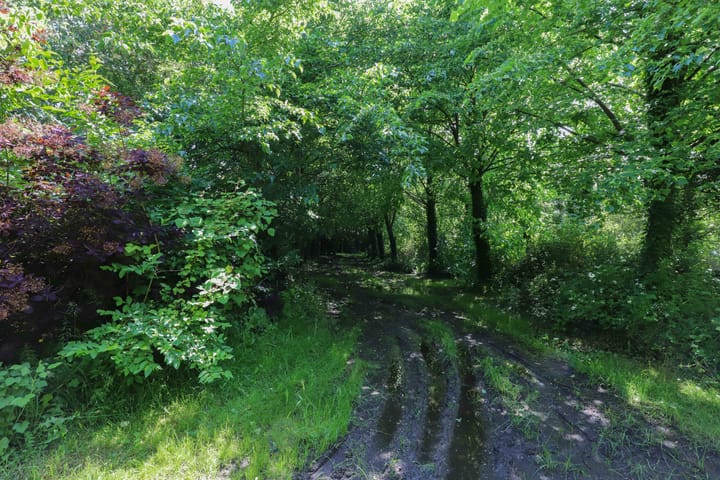 Foto 55 van Zuiddijk 14