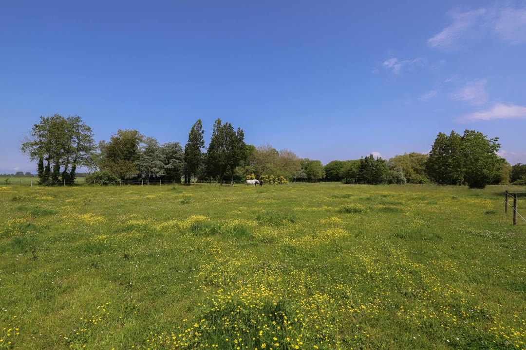 Foto 56 van Zuiddijk 14