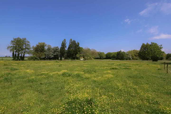 Foto 57 van Zuiddijk 14