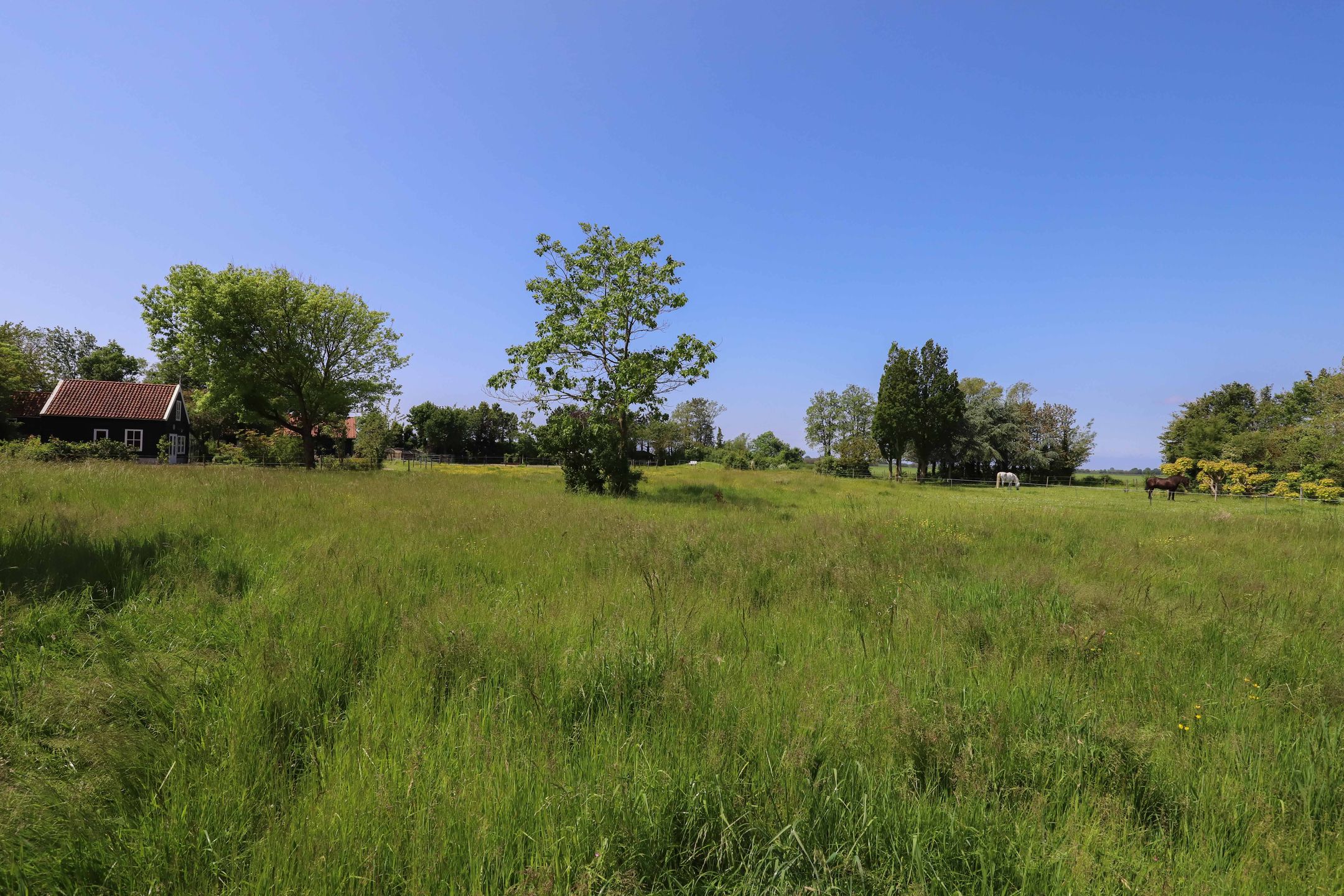 Foto 57 van Zuiddijk 14