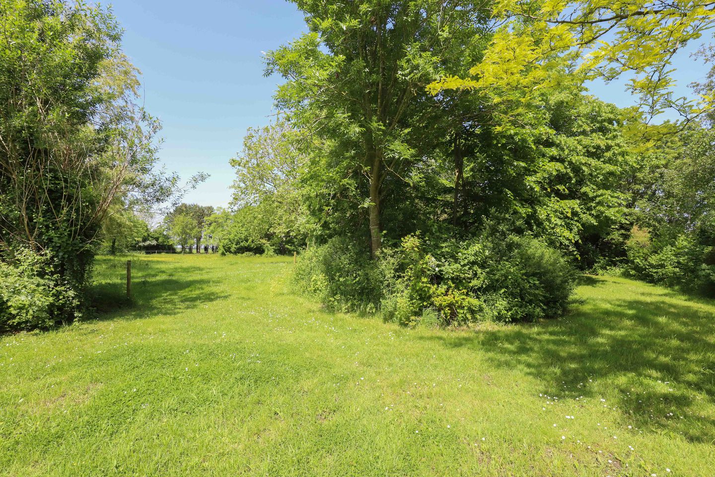 Foto 59 van Zuiddijk 14