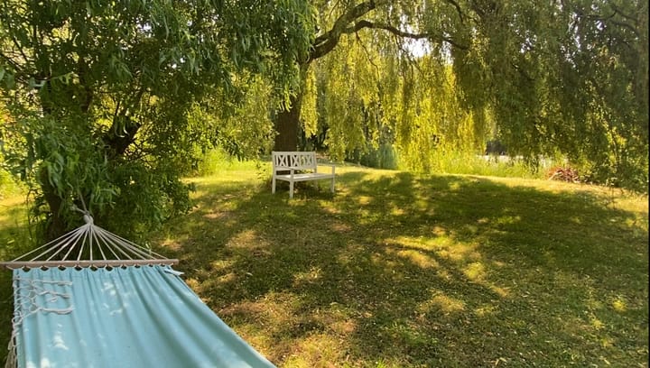 Foto 61 van Zuiddijk 14