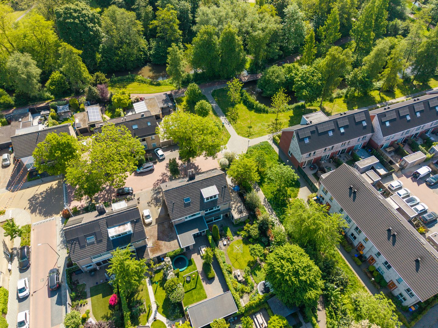 Foto 50 van Dissel 46