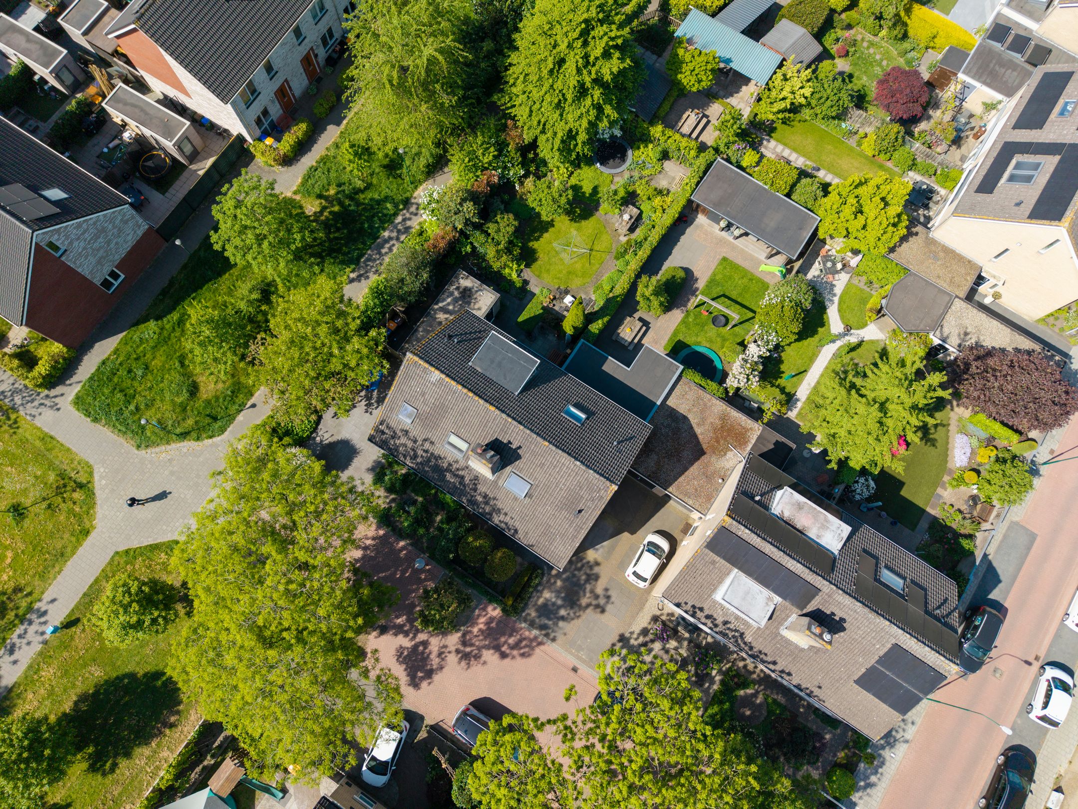 Foto 54 van Dissel 46