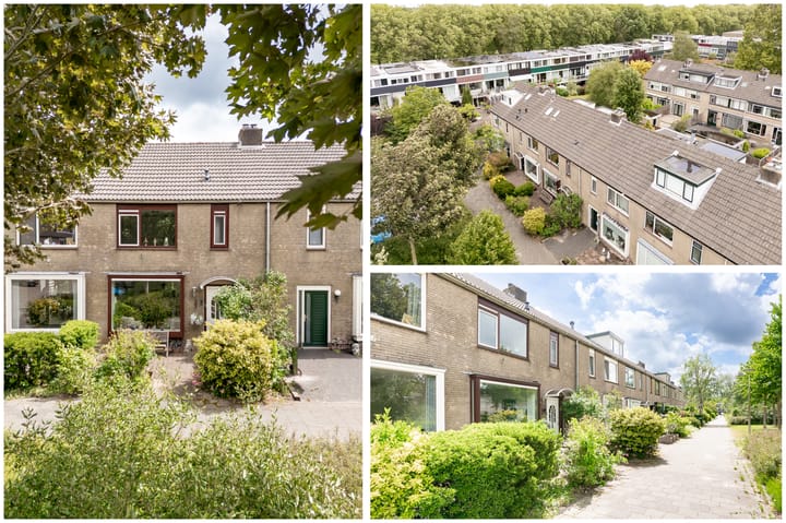 Foto 4 van Bartokhof 45