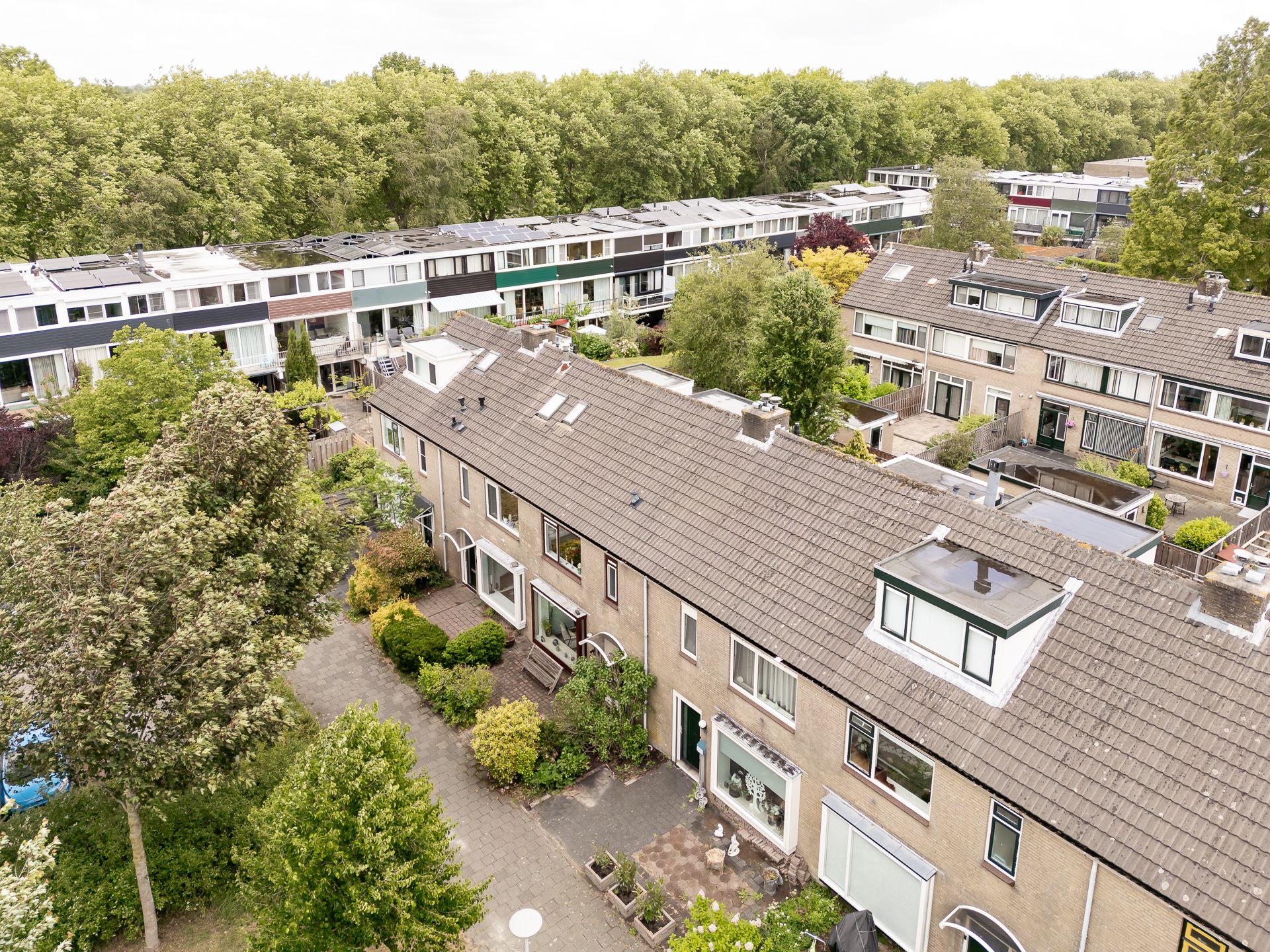 Foto 48 van Bartokhof 45