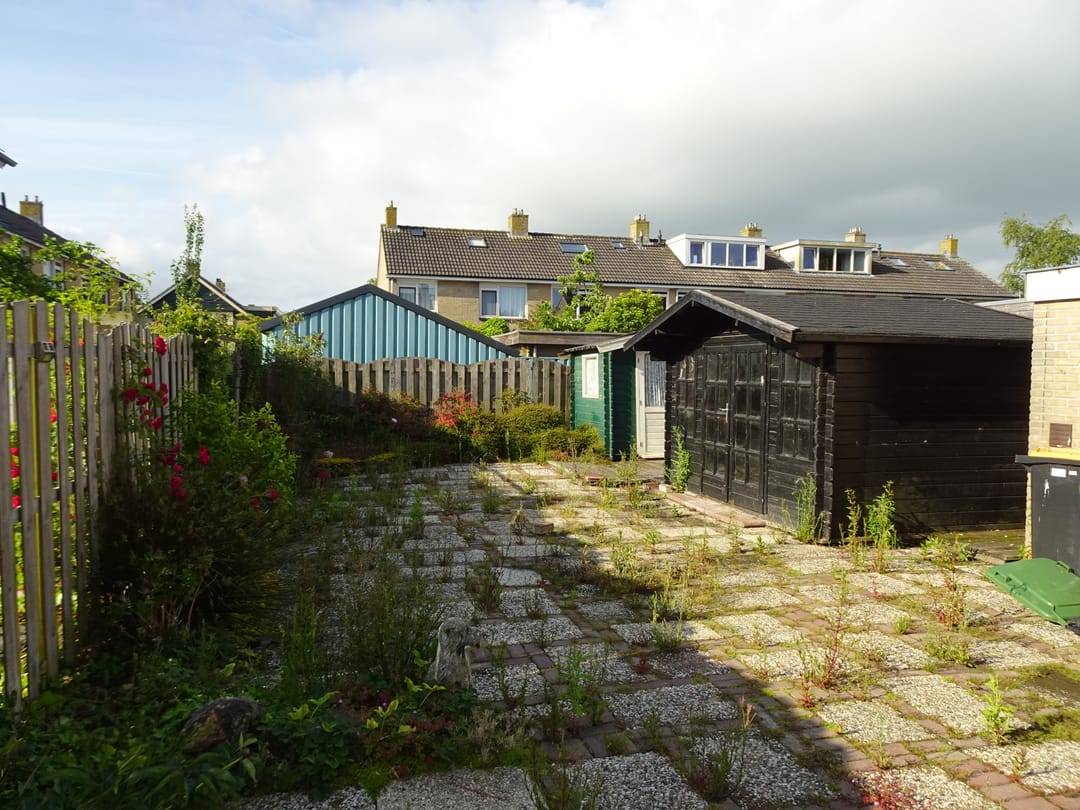 Foto 22 van Iepenlaan 31