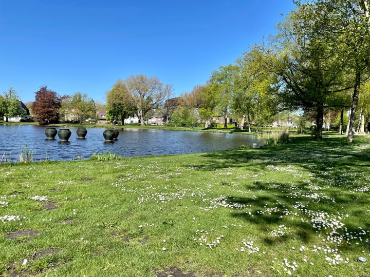 Foto 38 van Piet Heinstraat 10