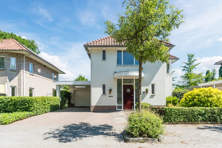 Foto 4 van Zomerland 7