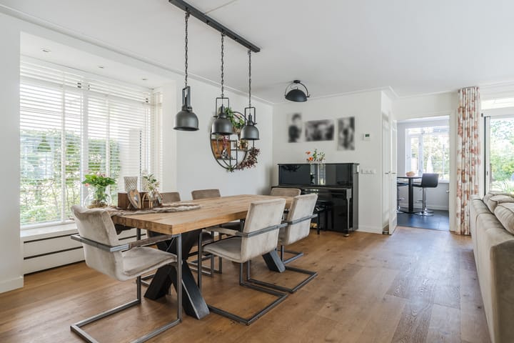 Foto 7 van Zomerland 7