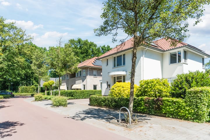 Foto 55 van Zomerland 7