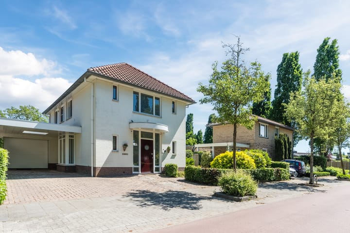 Foto 56 van Zomerland 7