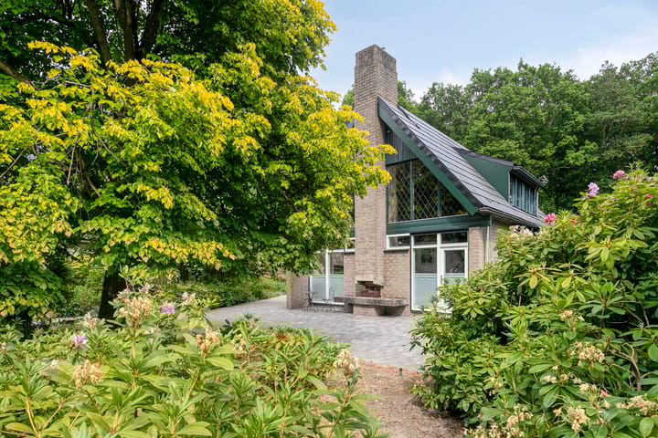 Foto 2 van Paulus Potterstraat 11