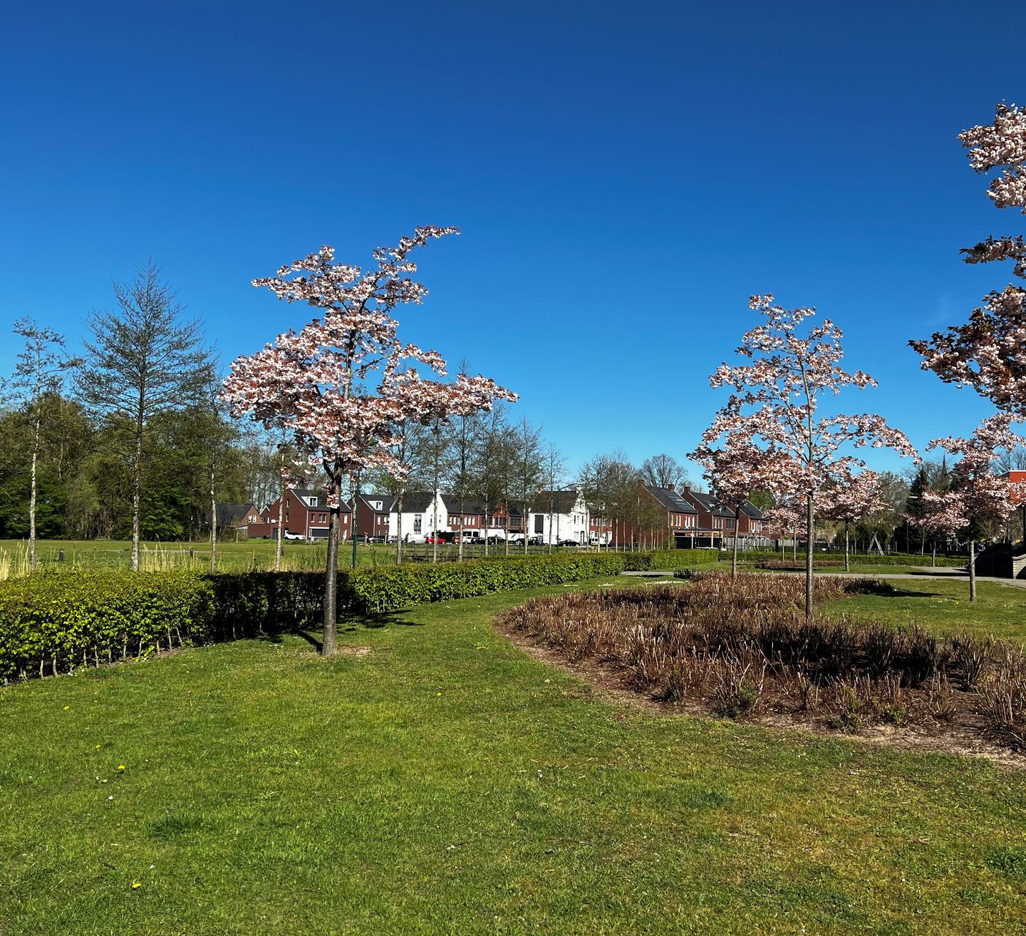 Photo 50 of Hamelijnckhof 5