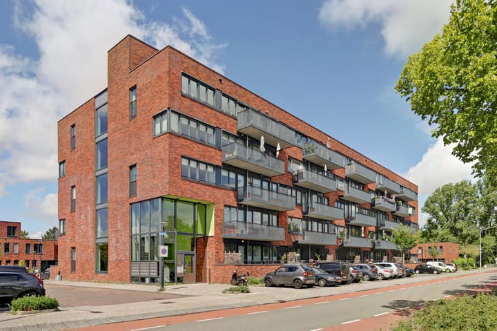 Foto 7 van Drechterwaard 207