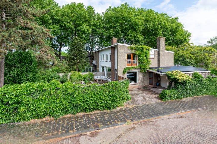 undefined main image