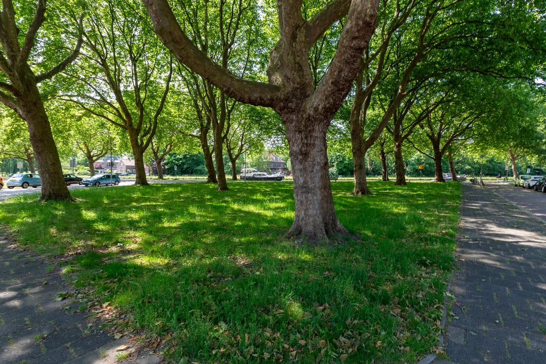 Foto 46 van Sint Eustatiusstraat 11