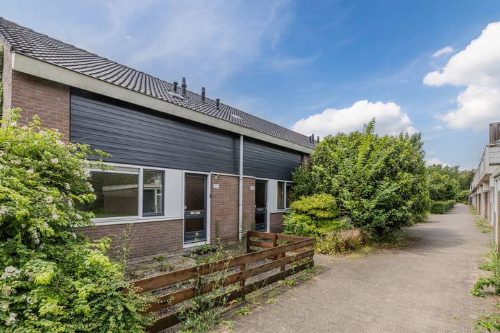 Photo 2 of Boogschutter 155