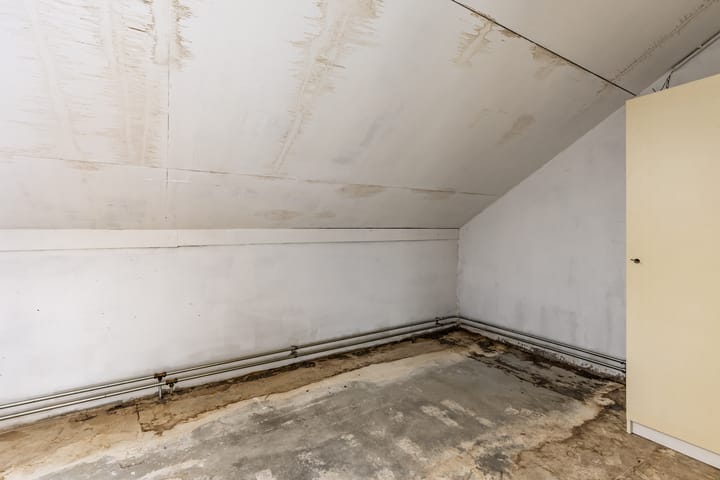 Photo 23 of Boogschutter 155