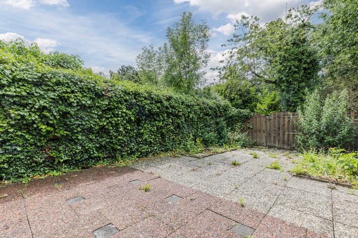 Photo 28 of Boogschutter 155