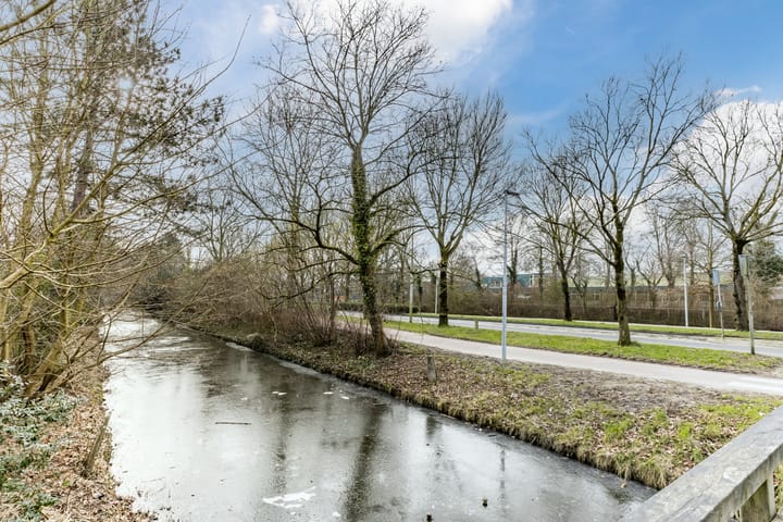 Photo 31 of Boogschutter 155