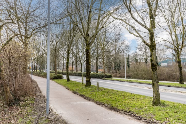 Photo 33 of Boogschutter 155