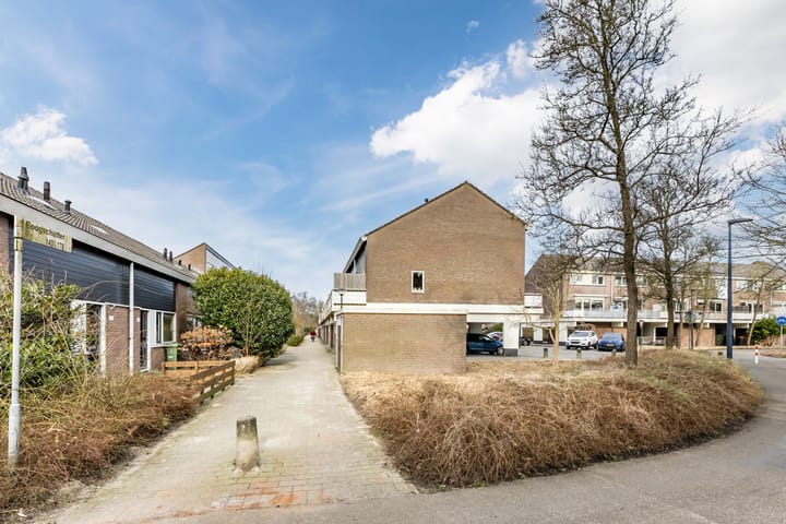 Photo 34 of Boogschutter 155