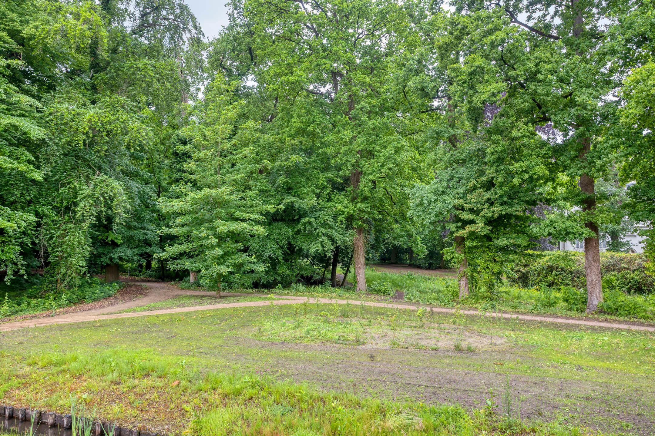 Foto 42 van Vlijtsemolen 25