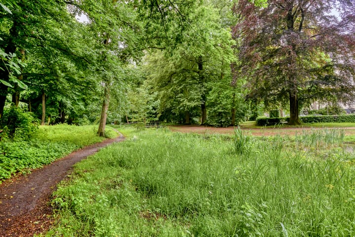 Foto 43 van Vlijtsemolen 25