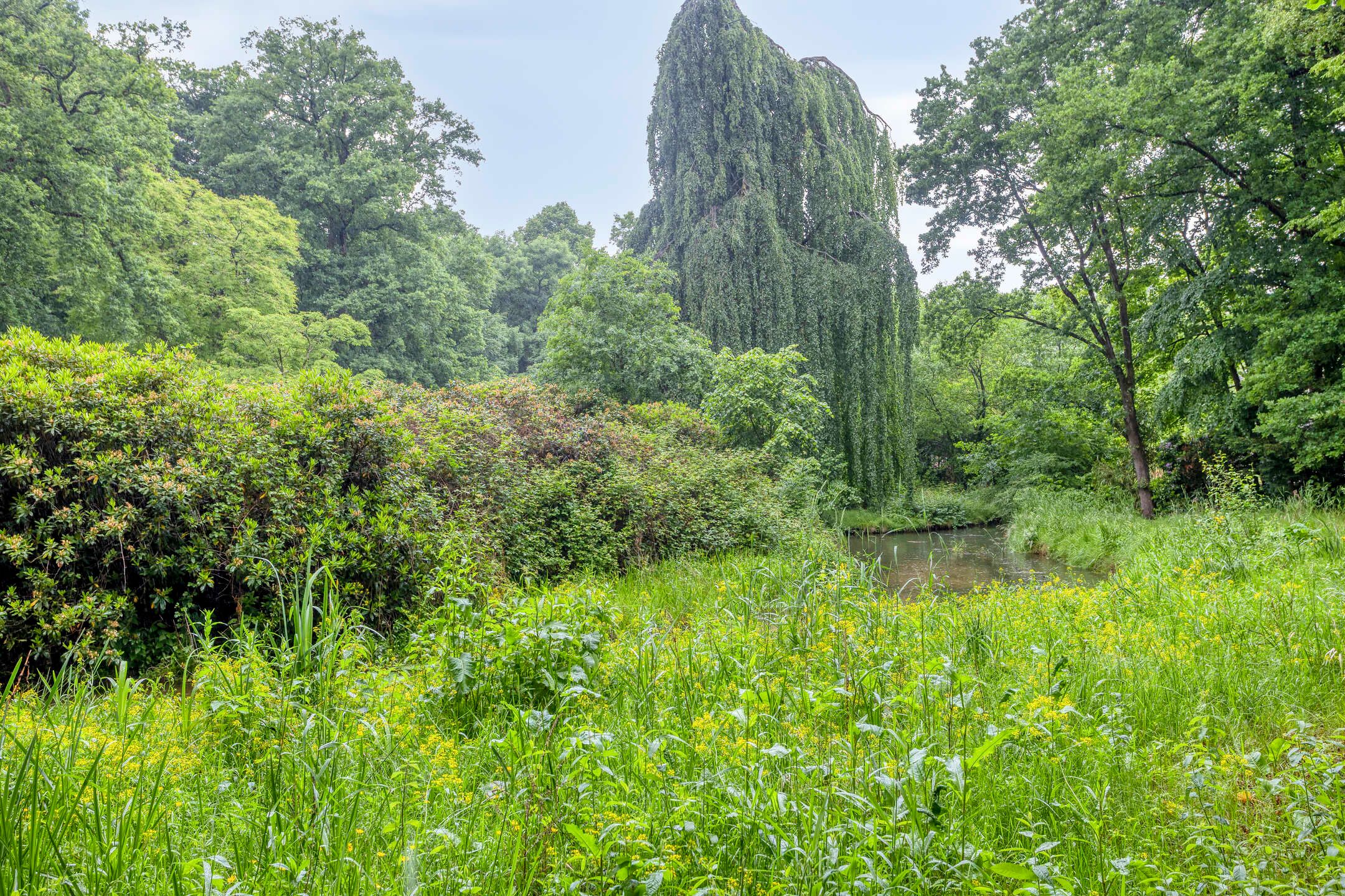Foto 45 van Vlijtsemolen 25