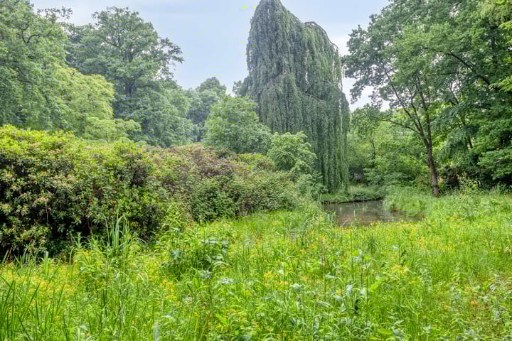 Foto 45 van Vlijtsemolen 25