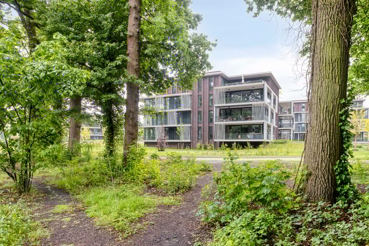 Foto 36 van Vlijtsemolen 25