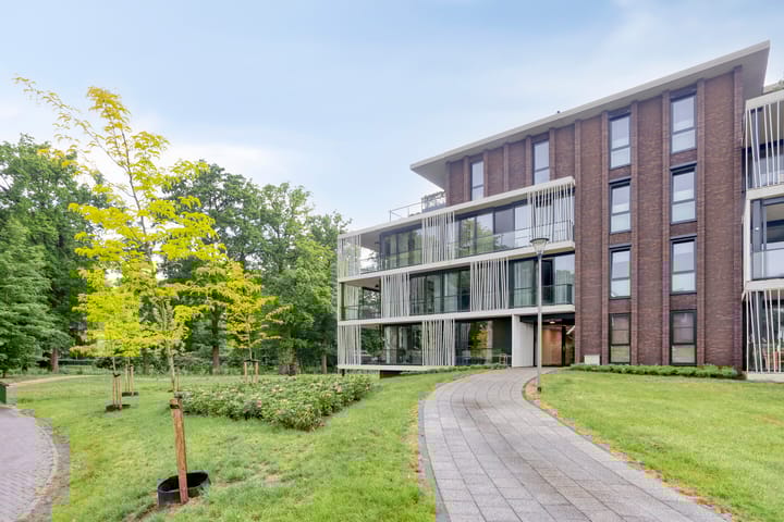 Foto 32 van Vlijtsemolen 25