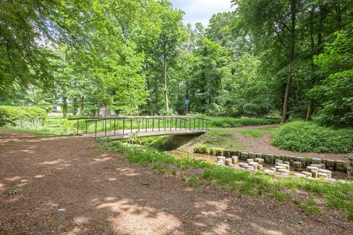 Foto 46 van Vlijtsemolen 25